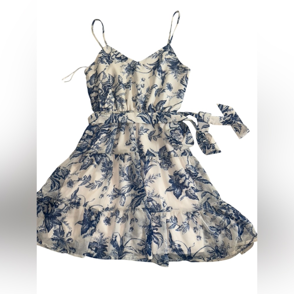 Express Blue and White Floral Casual Dress